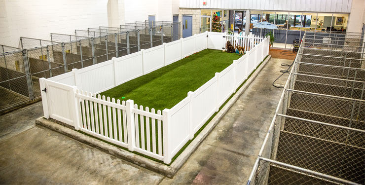 indoor pet park