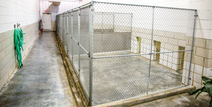 standard pet boarding cages